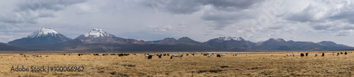 Panorama of Altiplano