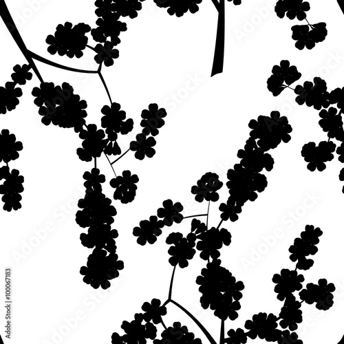 Seamless pattern with black cherry flowers