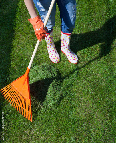 Woman raking freshly cut grass in the garden Fototapet