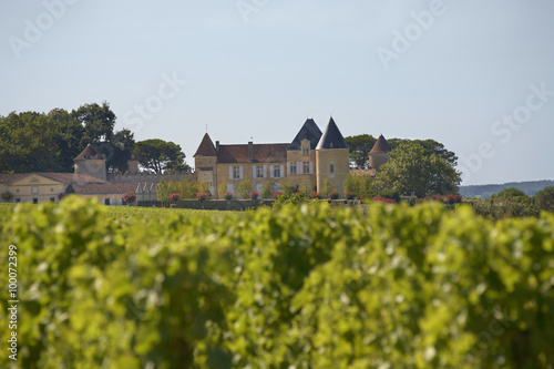 Bordeaux Chateau Yquem
