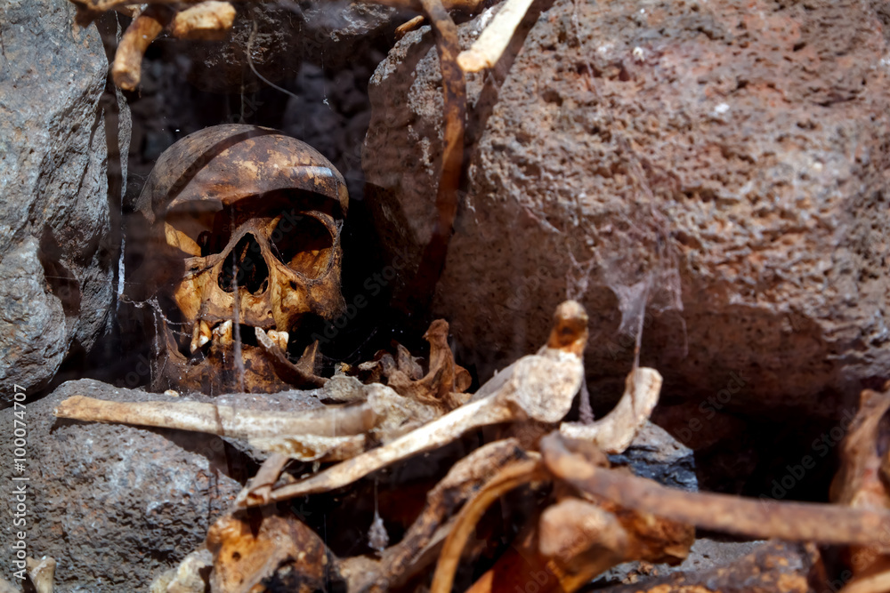 Skull Skull