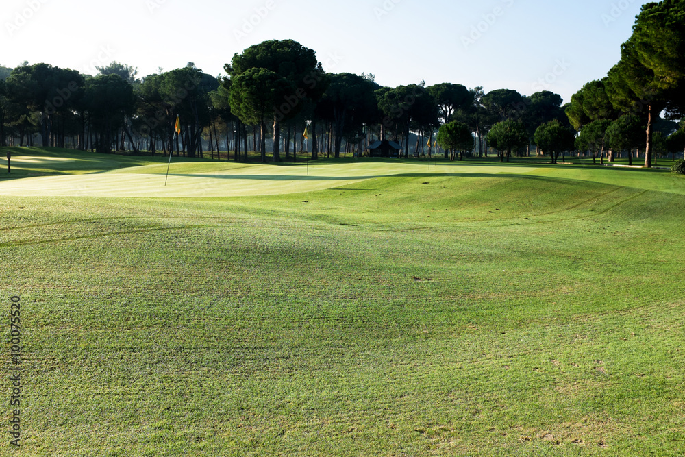 Fototapeta premium playing golf on a golf course
