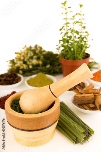 Wooden spice grinder with green herbs inside on white surface sorrounded by spices and plants