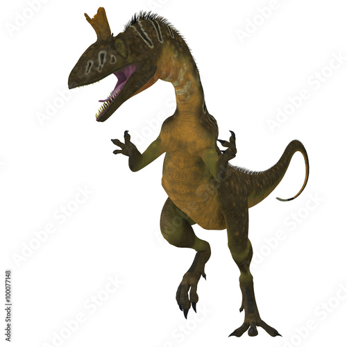 Cryolophosaurus Dinosaur on White - Cryolophosaurus was a large theropod carnivorous dinosaur that lived in Antarctica during the Jurassic Period.