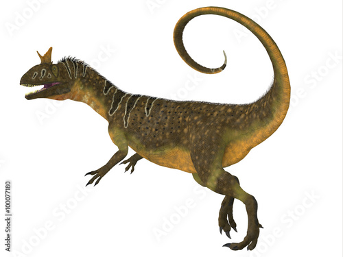Cryolophosaurus Tail -Cryolophosaurus was a large theropod carnivorous dinosaur that lived in Antarctica during the Jurassic Period.  © Catmando