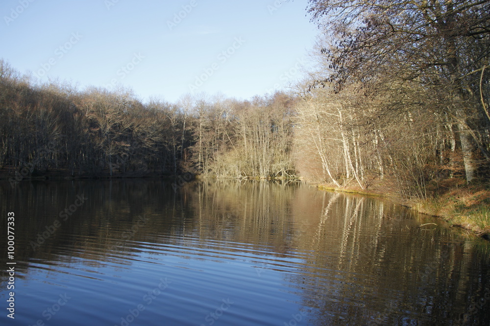 Etang en Bourgogne Etang en Bourgogne