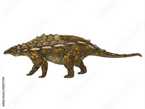 Gargoyleosaurus Side Profile - Gargoyleosaurus was an Ankylosaurus armored herbivorous dinosaur that lived in the Jurassic Age of Wyoming  North America.