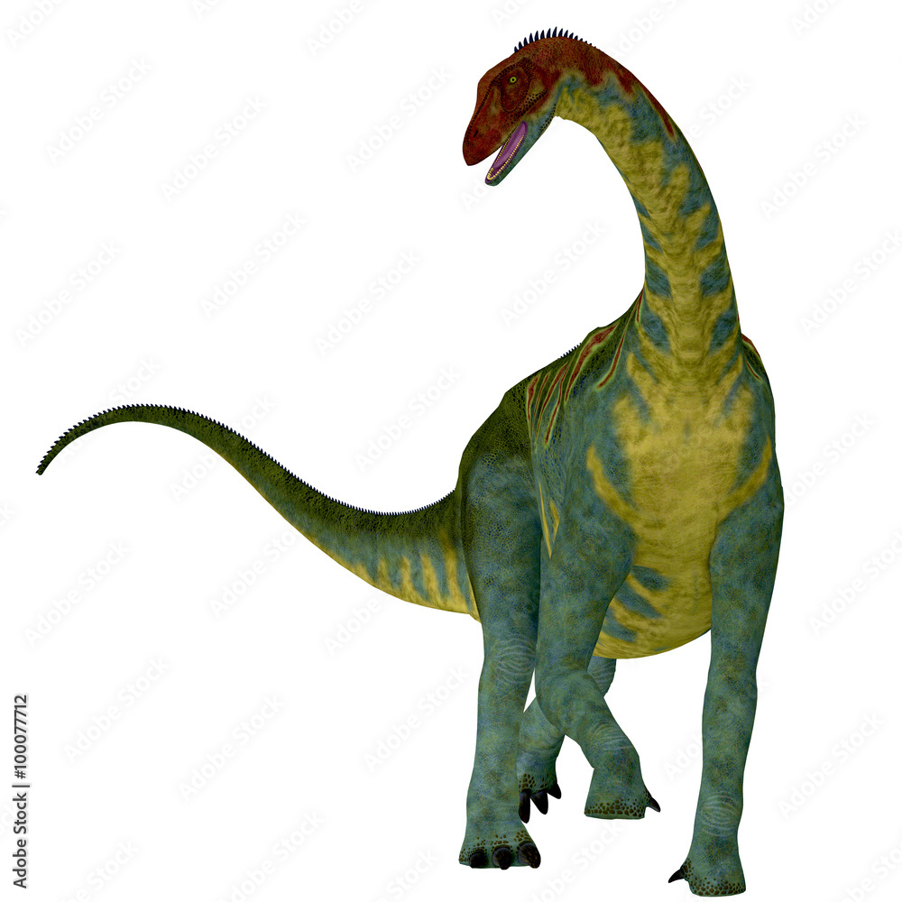 Jobaria on White - Jobaria was a herbivorous sauropod dinosaur that lived in the Jurassic Period of the Sahara Desert in Africa.