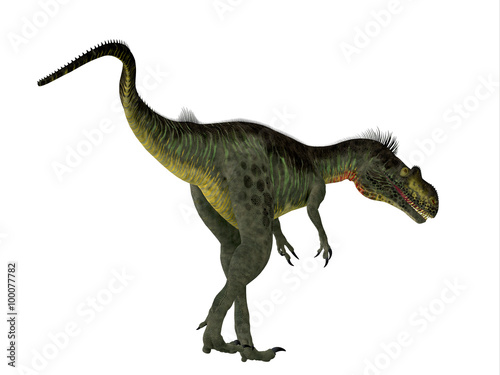 Megalosaurus Dinosaur Tail - Megalosaurus was a large carnivorous theropod dinosaur that lived in the Jurassic Period of Europe.