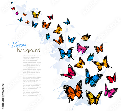 Beautiful background with colorful butterfly. Vector.