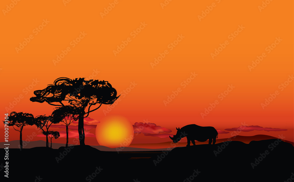 Naklejka premium African landscape with animal rhino silhouette. Savanna sunset background