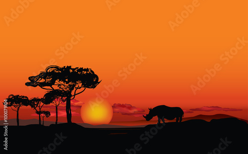 African landscape with animal rhino silhouette. Savanna sunset background © Terriana