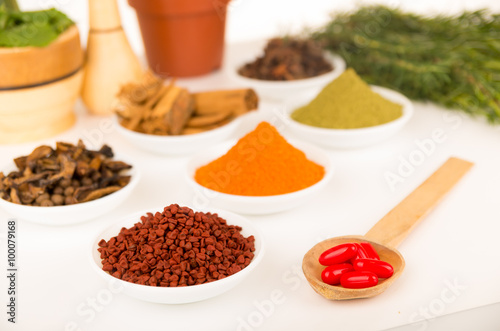 Beautiful delicate colorful display of different spices red orange brown in white bowls  shot from above side angle  plants and bright background