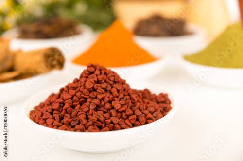 Beautiful delicate colorful display of different spices red orange brown in white bowls, shot from above side angle, plants and bright background
