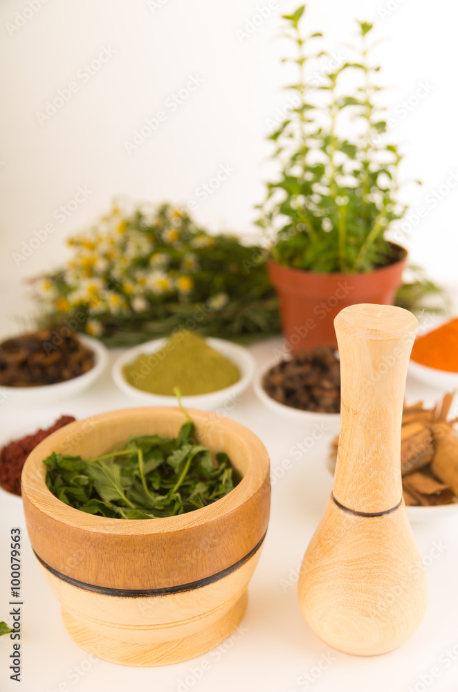 Wooden spice grinder with green herbs inside on white surface sorrounded by spices and plants