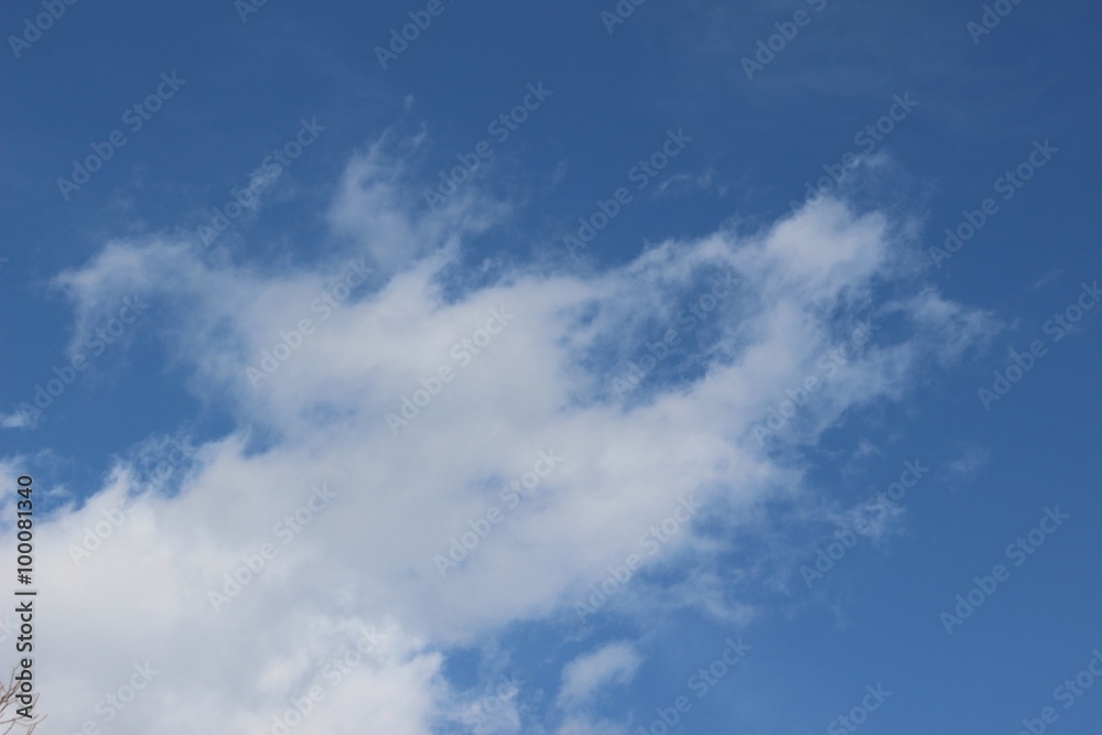 冬の空/動物の顔に見える白い雲