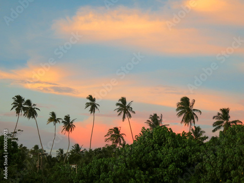 Beautiful orange sunset with black palms silhouettes © art_of_sun