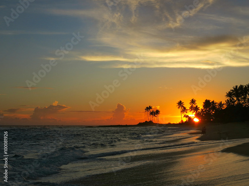 Beautiful orange sunset with black palms silhouettes © art_of_sun