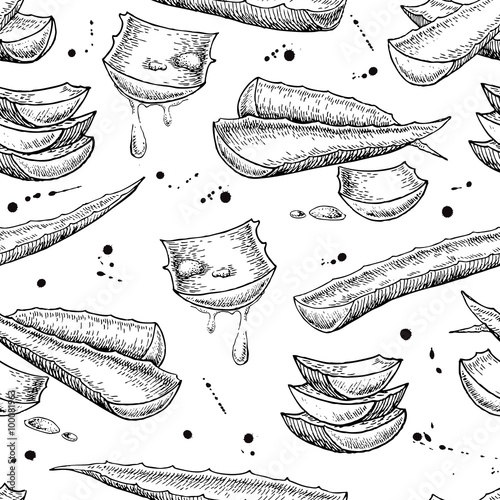 Vector seamless hand drawn botanical Aloe Vera pattern.