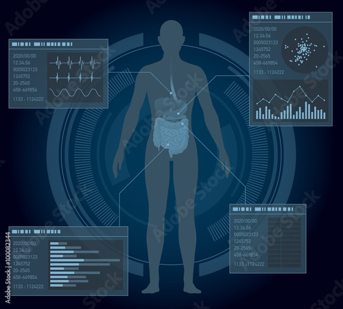 medical interface, human digestive organs, vector illustration