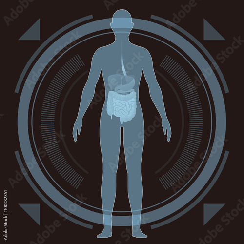 medical interface, human digestive organs, vector illustration