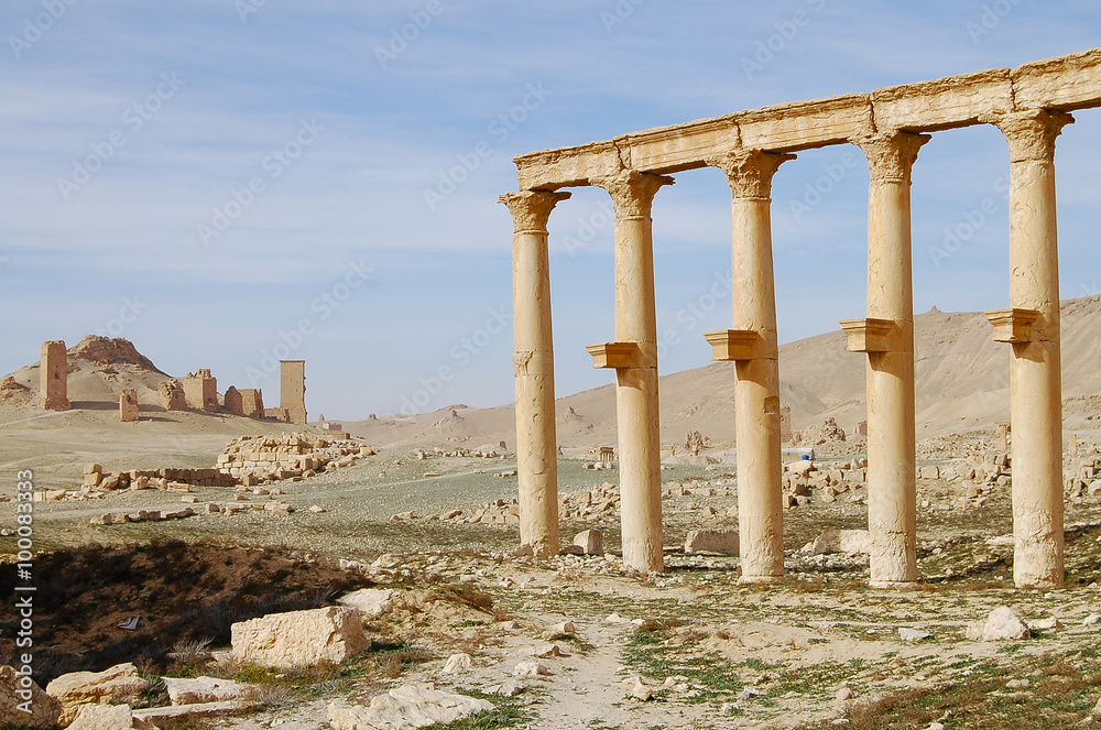 Palmyra Ruins - Syria (Before Civil War)