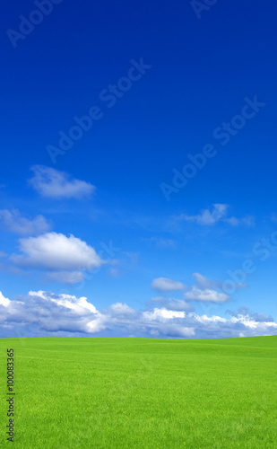 Green grass and sky