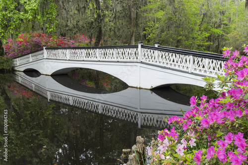 Bridge across garden pond lined with blooming azaleas and Spanish Moss at a plantation near Charleston, SC.