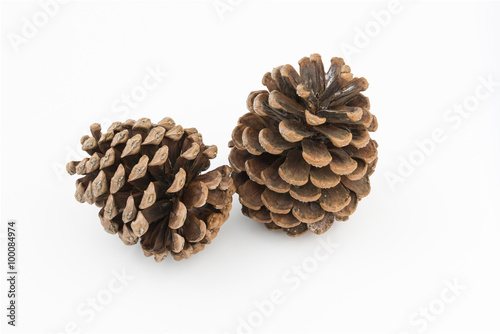 brown pine cones isolated white background © wisanuboonrawd