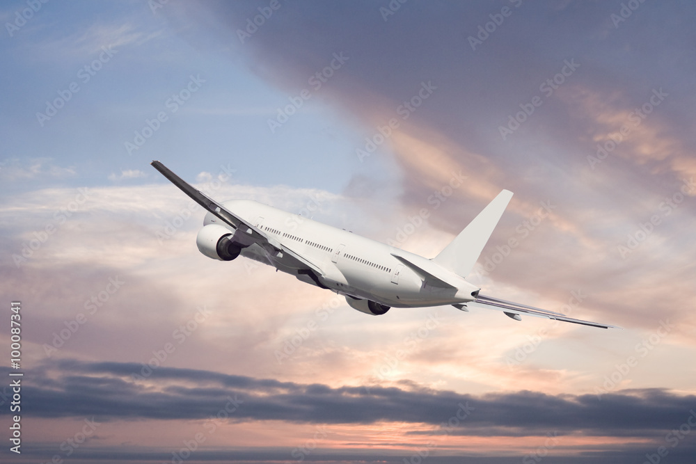 Fototapeta premium 旅客機