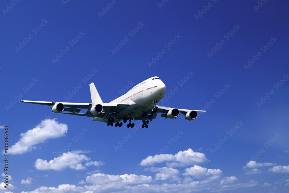 Obraz premium 旅客機