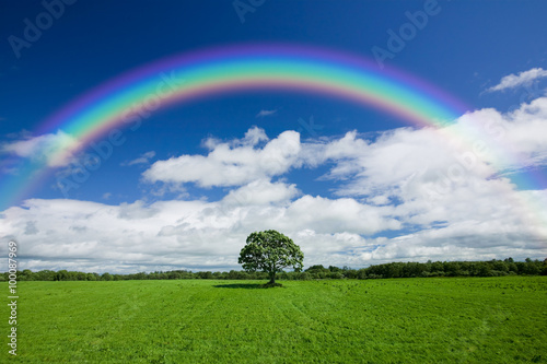 Rainbow Over Green Field