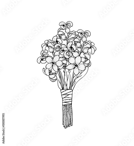 Vector floral illustrated in black and white.