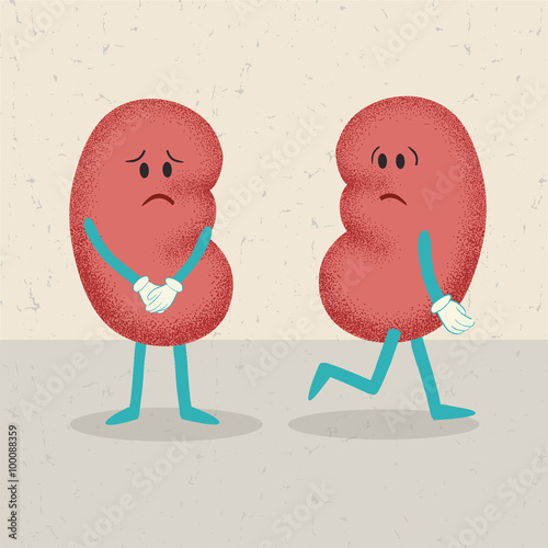 retro cartoon of 2 kidneys. concept of losing one kidney