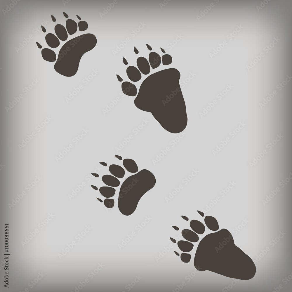 Obraz premium Bear footprint. Vector illustration. 