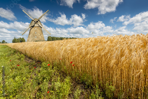 Countryside landscape with filed ripening rye and windmill, Europe. Image ill...