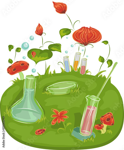 Plants Flowers Experiment