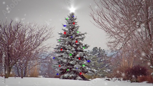 Christmas Tree Decorated with Shining Star During a Snowstorm