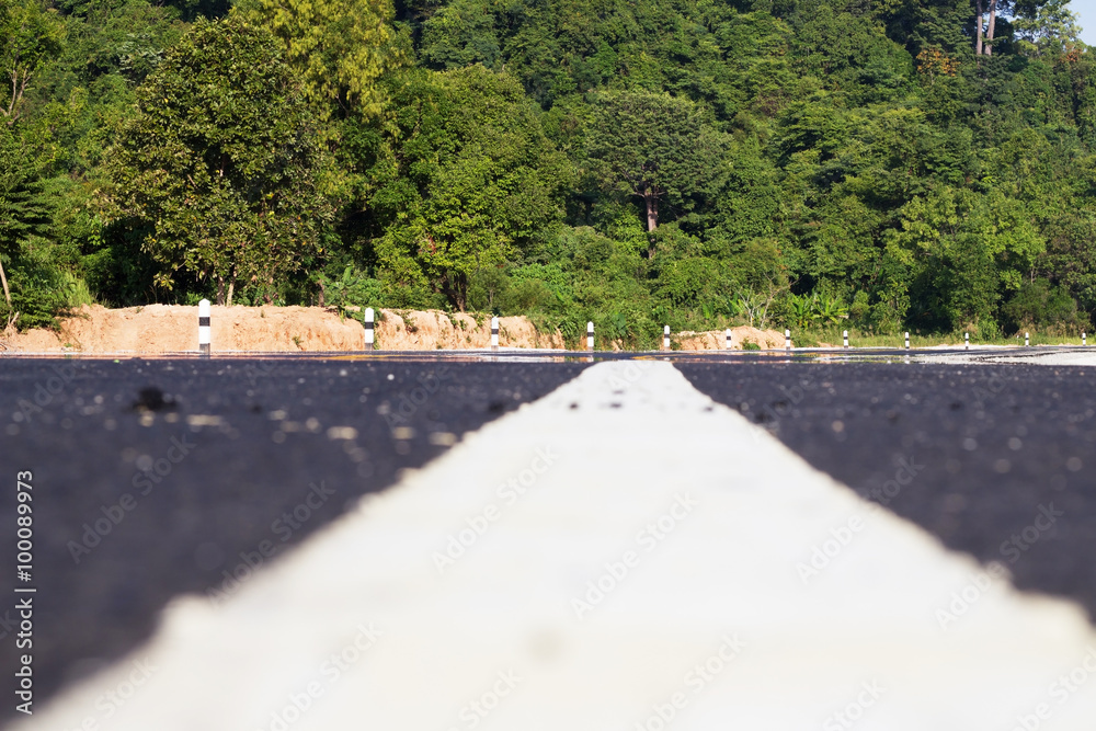 asphalt road through the green trees beside the road and clouds on blue sky in summer day asphalt road through the green trees beside the road and clouds on blue sky in summer day