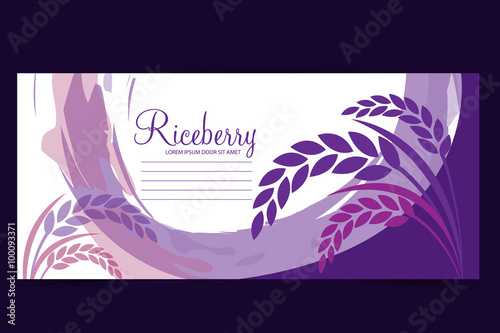 Rice berry Vector