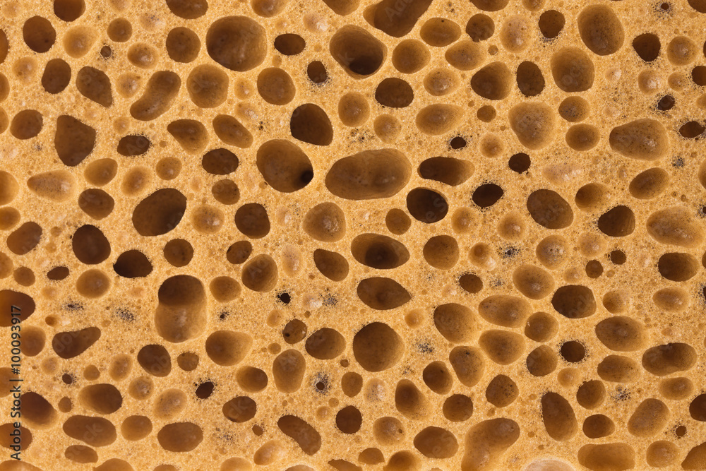 Bath sponge texture for background Bath sponge texture for background