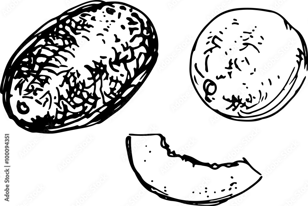 Melon. Vector illustration Melon. Vector illustration