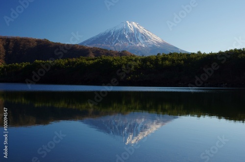 Fototapeta Naklejka Na Ścianę i Meble -  Mt.Fuji, view from the shore of Lake Saiko　静寂　富士山と富士五湖西湖