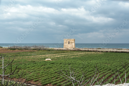 Puglia seaside landscapes