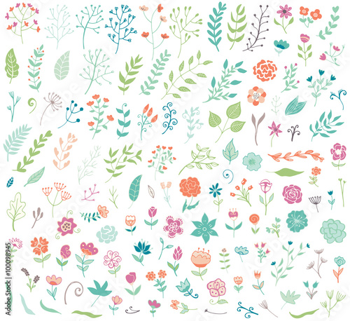 Wallpaper Mural Floral hand drawn vintage set Torontodigital.ca