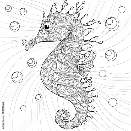 Seahorse. Adult antistress coloring page. Black and white hand drawn doodle for coloring book