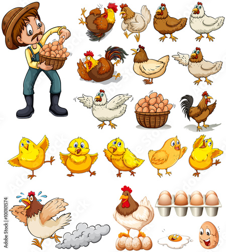 Farmer collecting eggs from chickens