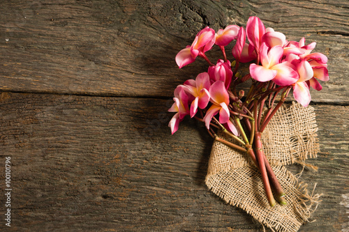 The beautiful pink Plumeria flower on the old wood background st