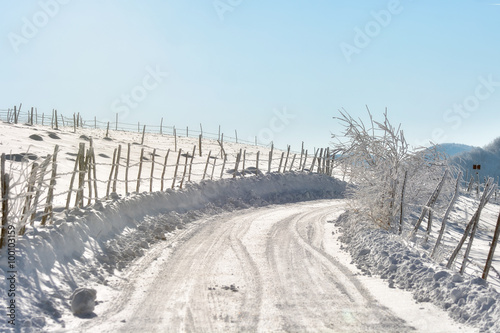 sunny day of a winter, on wild Transylvania hills. Romania. Low key, dark background, spot lighting, and rich Old Masters.