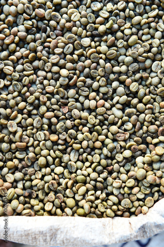 green bean coffee beans for background